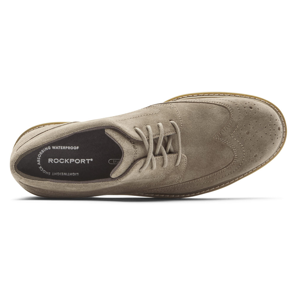 Tenis Rockport Homem Cinzentas - Charlee Waterproof Wingtip - 38245VEPG